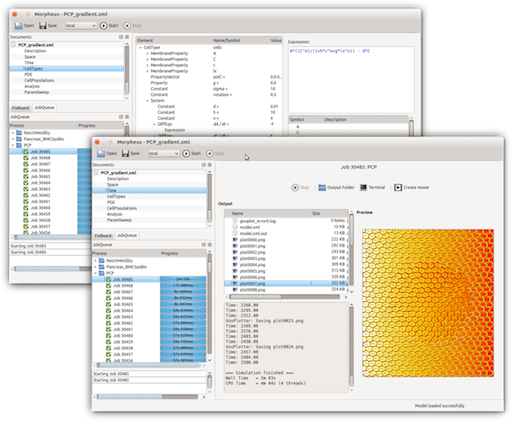 Morpheus user interface:<br> modeling view (back) and simulation view (front)